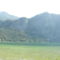 DSCF0167