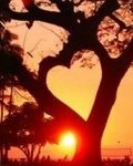 Love_Tree