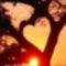 Love_Tree