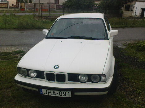 Morci
