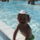 Vivike