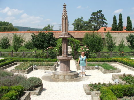 Palota kert a Mátyás király múzeumban