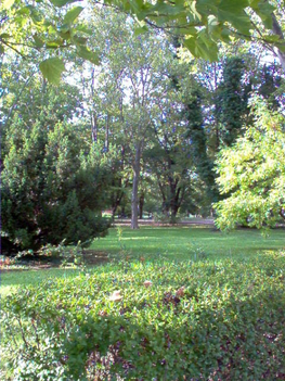 Kossuth téri park-2
