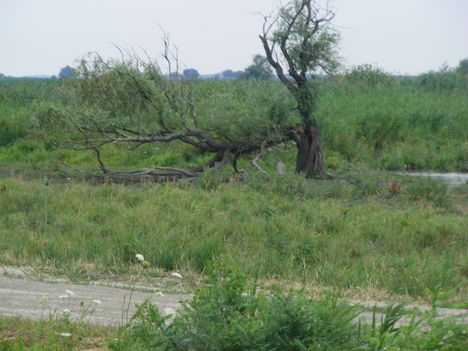 2009_0716myFINEPIX0538