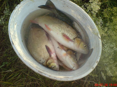 DSC00012