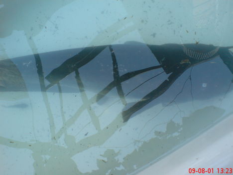 DSC00022