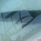 DSC00022