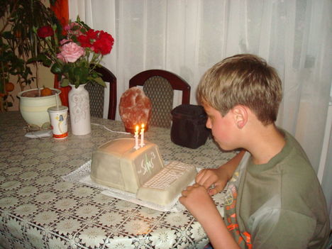 Patrik születésnapja  11 éves 09.07.28 021
