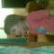 20090804(022)