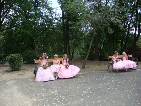 DSC00021