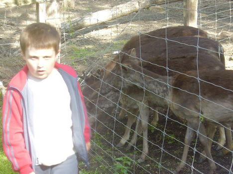 Én az őzekkel vagyok