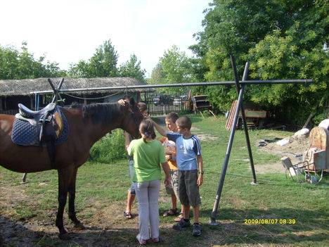 Lovas tábor