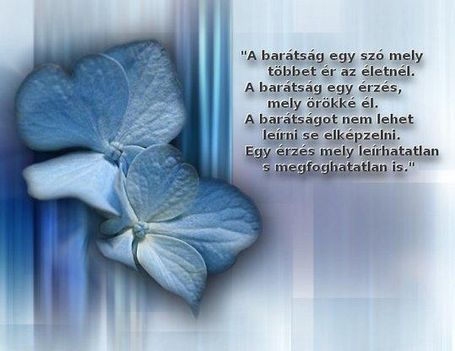 barátság leirhatatlan
