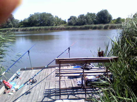 stégen horgászať