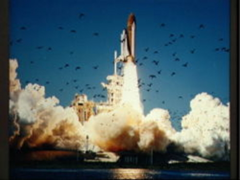 250px-STS51L_Liftoff Challenger elhagyja a tornyot