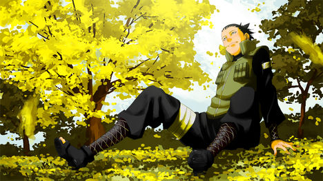 shikamaru04a