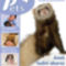 pets16