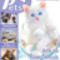 pets19