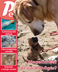 pets20