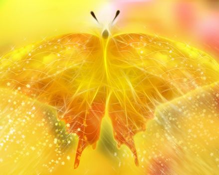 1975889911_yellow-butterfly-wallpapers_12993_1280x1024