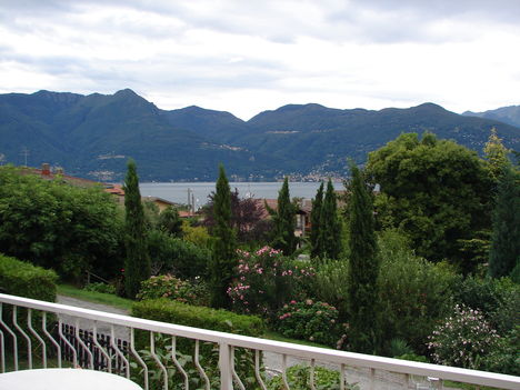 DSC05525
