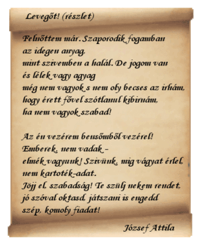 www.tvn