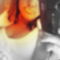 fancsoo.*