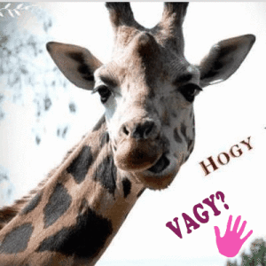 Hogy vagy?