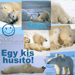 Hűsítő