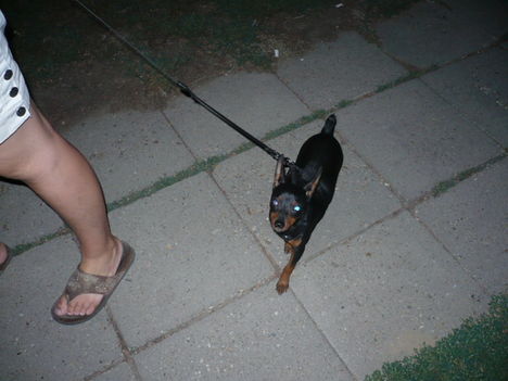 Tobi 010