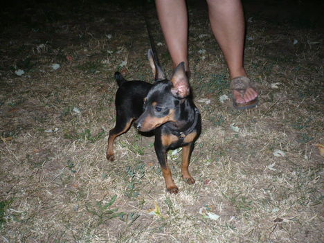 Tobi 012