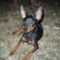 Tobi 014
