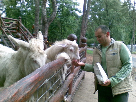 Debrecen 2009.06