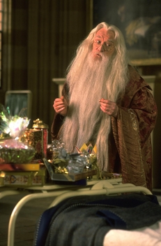 HP és a Bölcsek Köve - Dumbledore