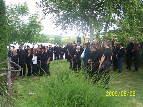 2009-06-03 Anti temetése 003