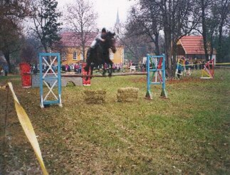 hubertus díjugrató verseny