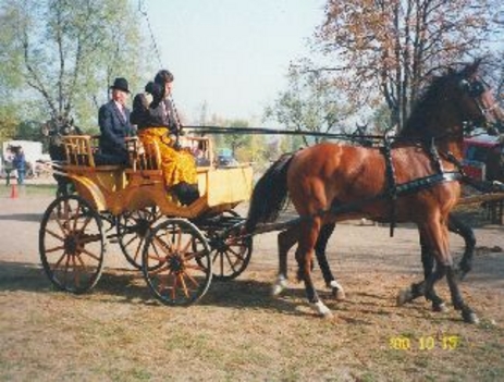 hubertus napok fogatverseny