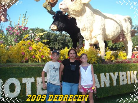 DEBRECEN 2009 AUGUSZTUS 20 231