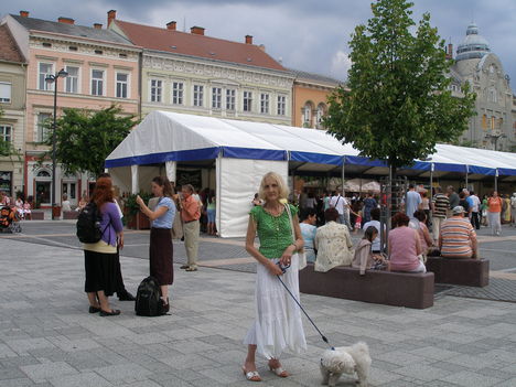 Szombathely Savaria nap 071