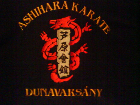 Ashihara karate