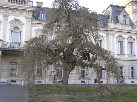 Keszthely Festetics Kastély