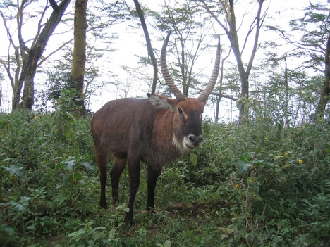 Kenya