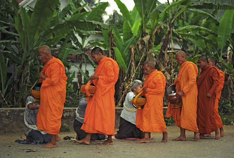 Luang Prabangi boncok