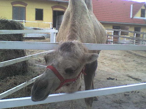 DSC00757