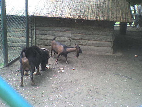 DSC00765