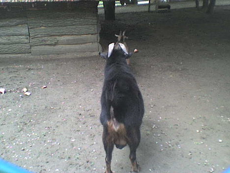 DSC00767