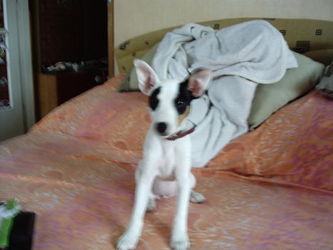 IMAG0009