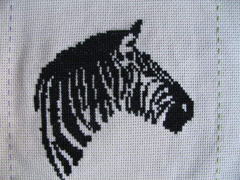 zebra