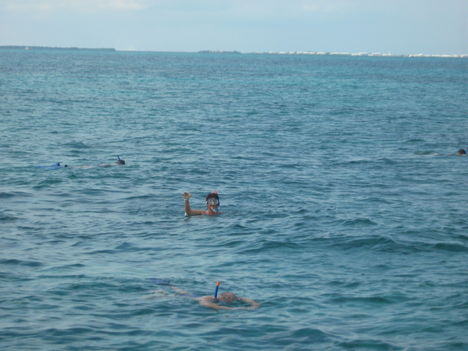 Kuba 2007 delfinekkel