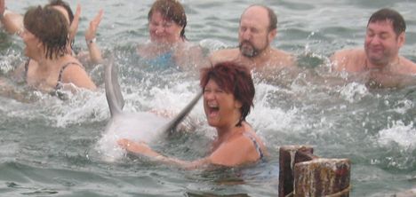 Kuba 2007 delfinekkel